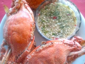 ปูม้าสดๆ